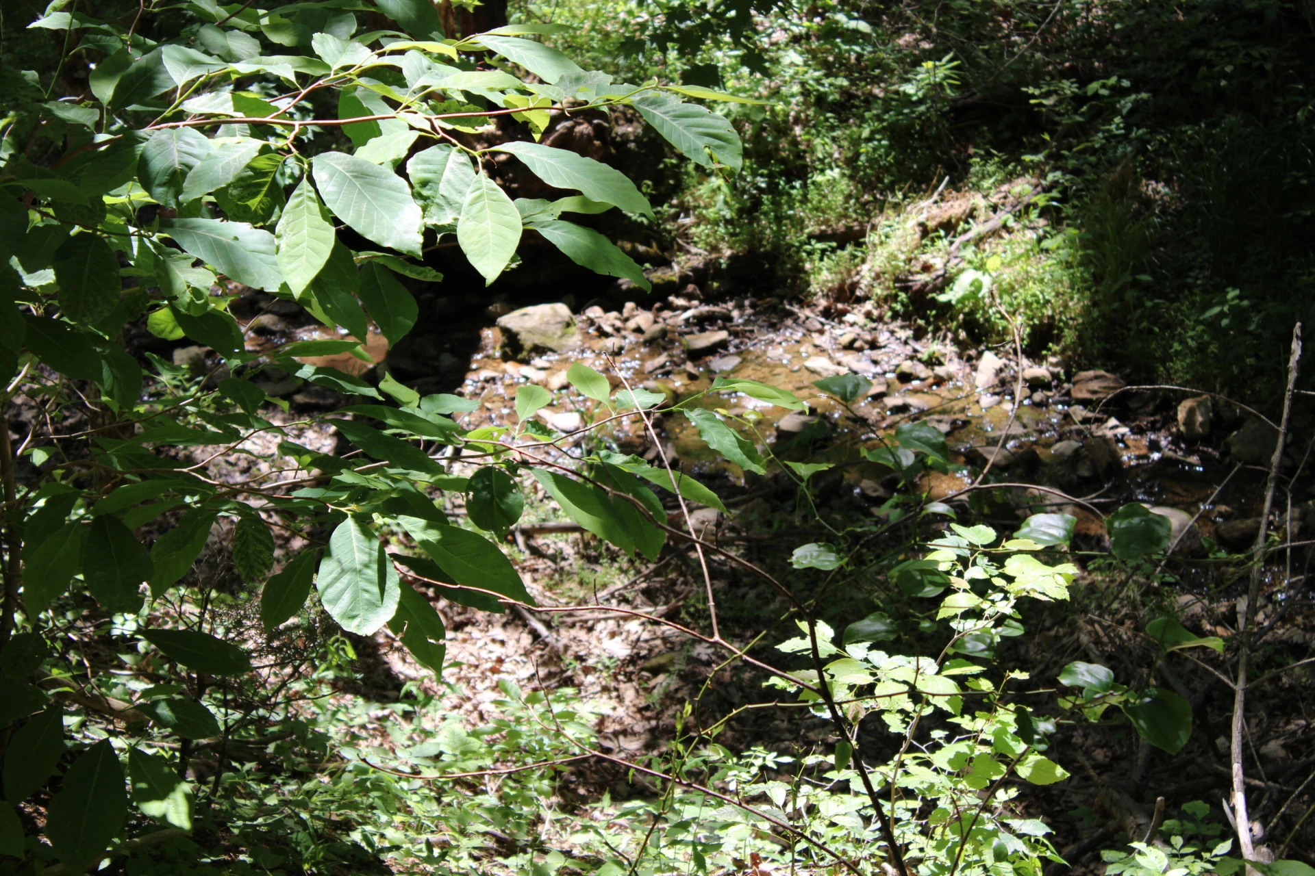 7923 Poor Mountain RD - Photo 81