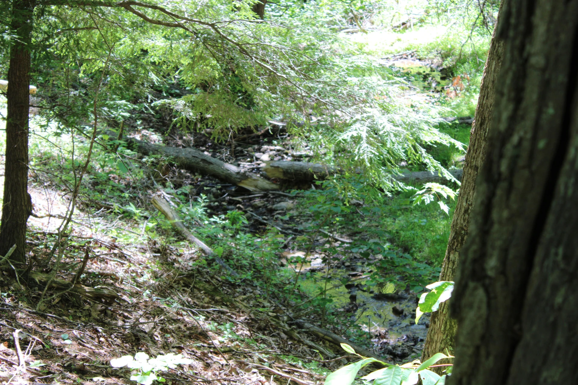 7923 Poor Mountain RD - Photo 82