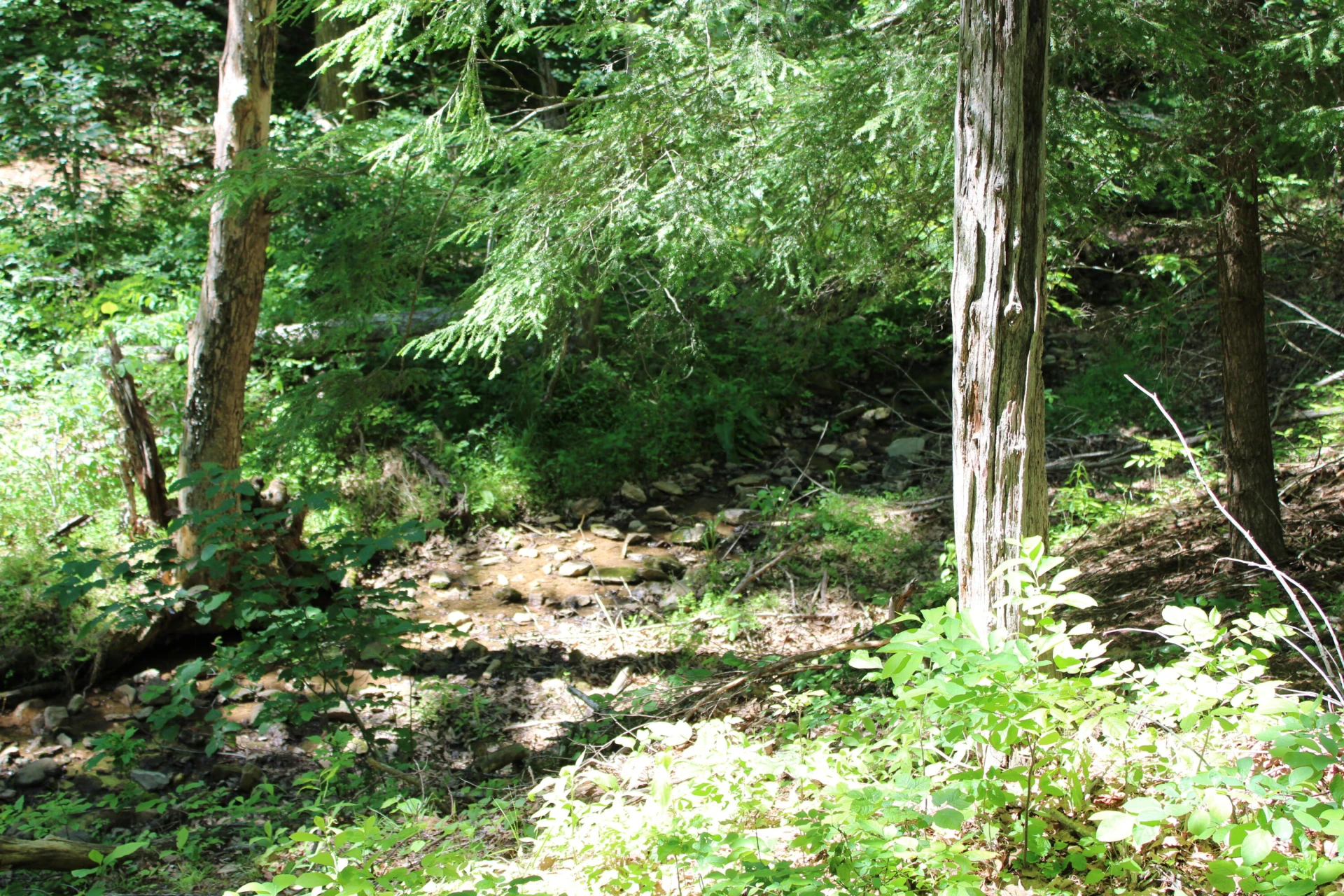 7923 Poor Mountain RD - Photo 83