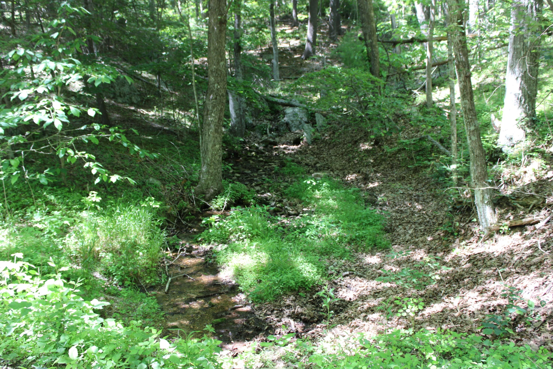 7923 Poor Mountain RD - Photo 84
