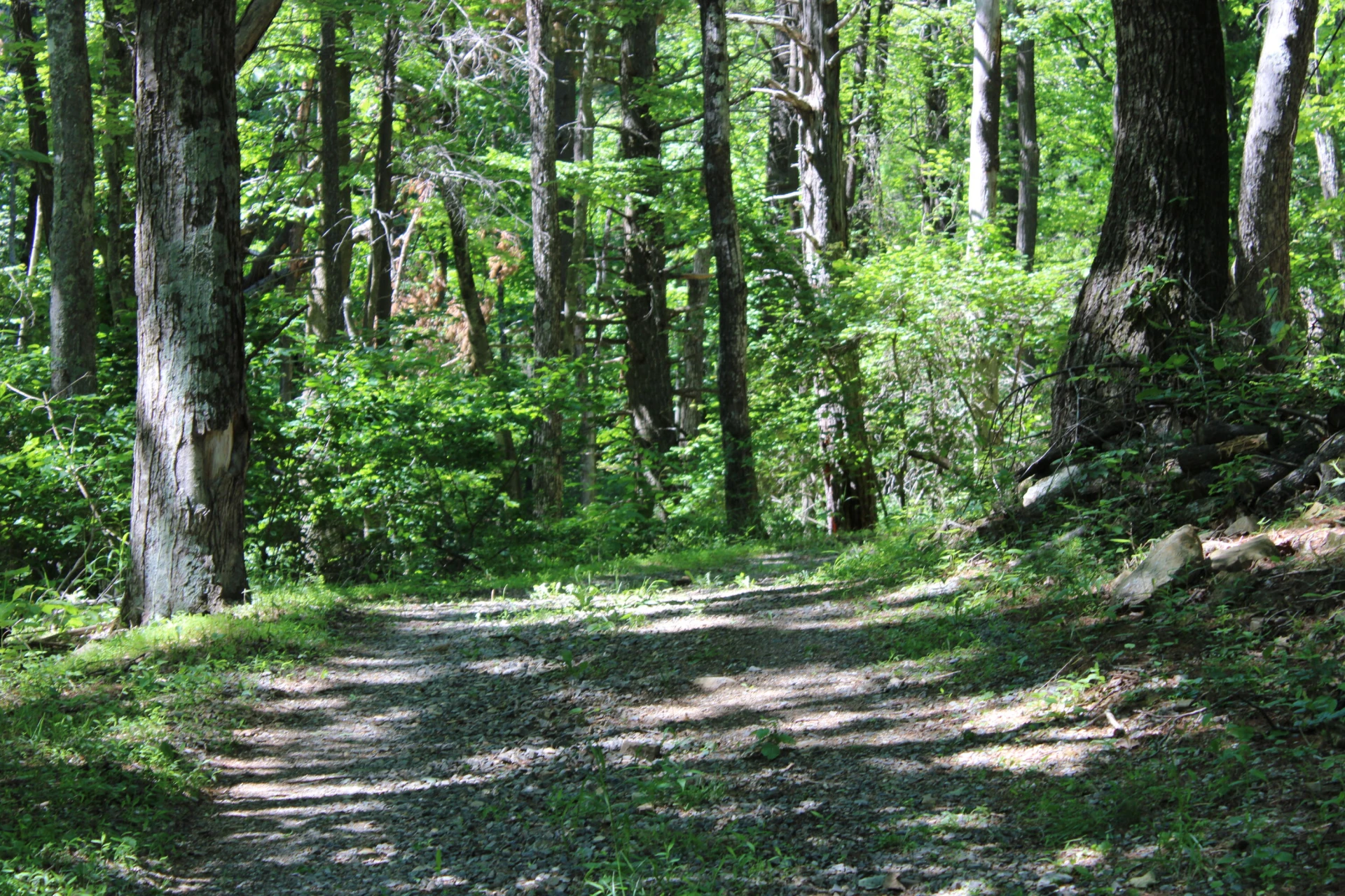 7923 Poor Mountain RD - Photo 87