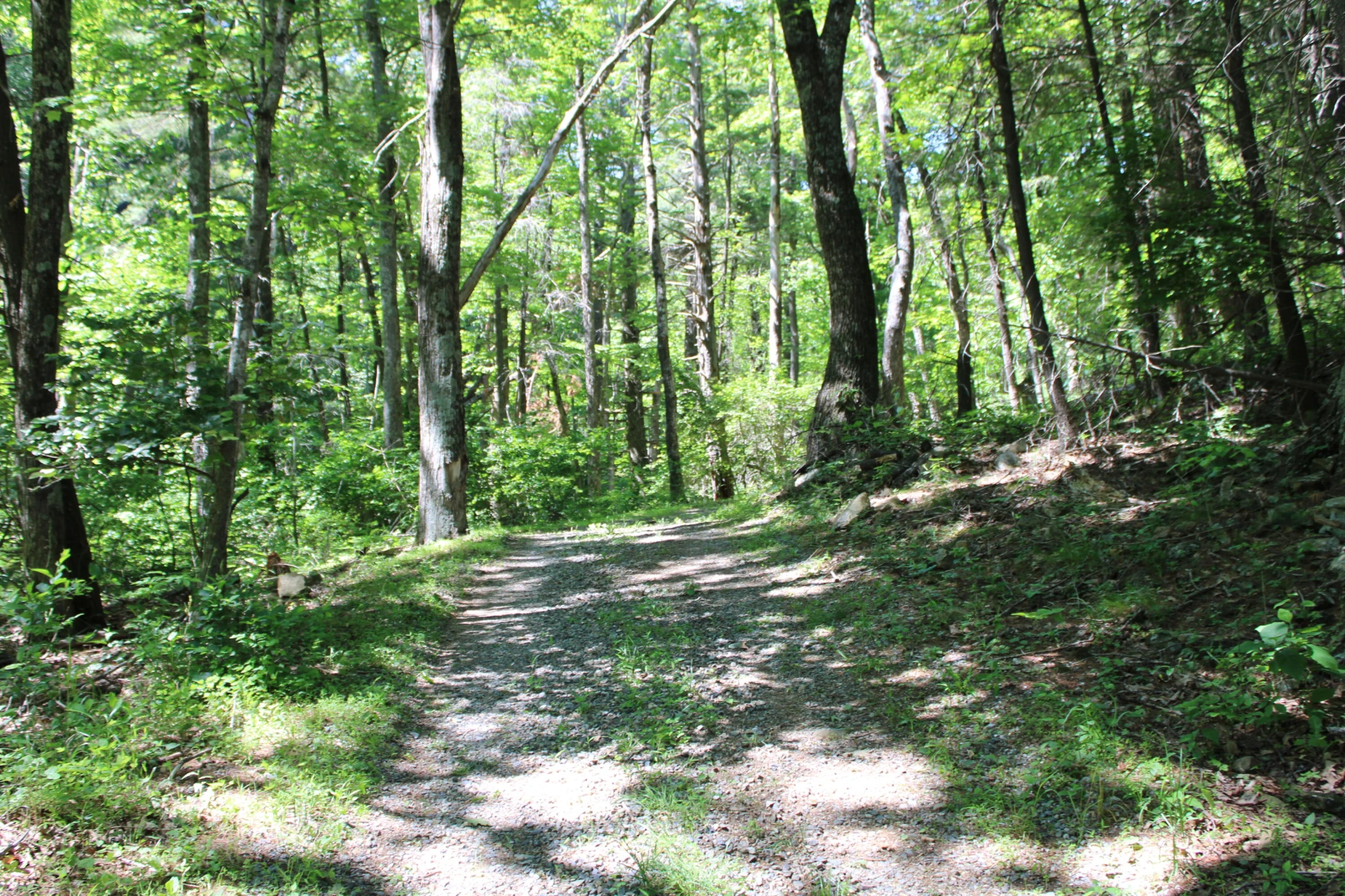 7923 Poor Mountain RD - Photo 88