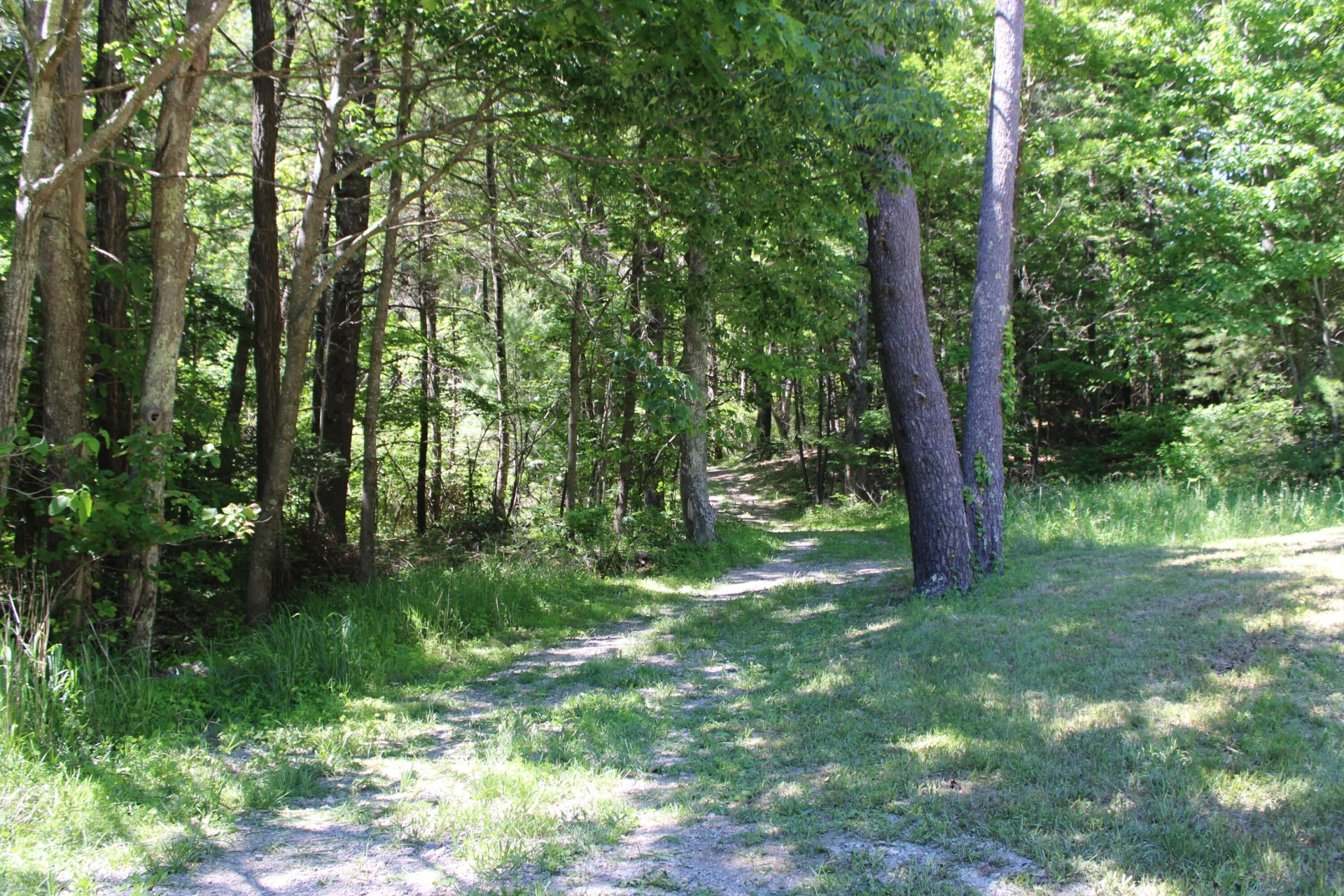 7923 Poor Mountain RD - Photo 91