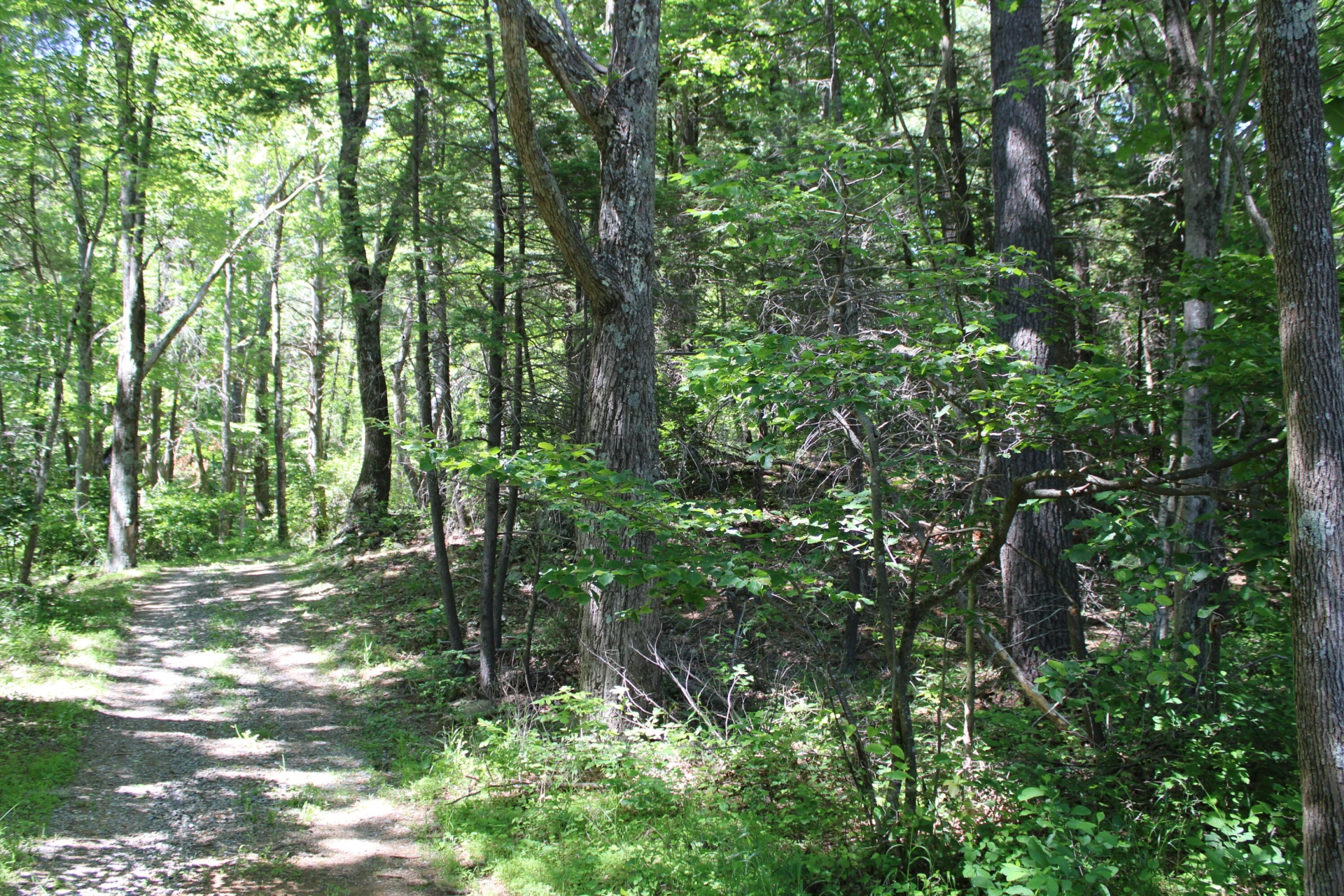7923 Poor Mountain RD - Photo 92