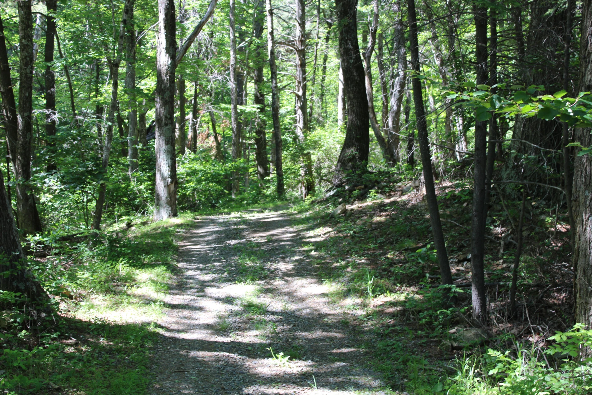 7923 Poor Mountain RD - Photo 93