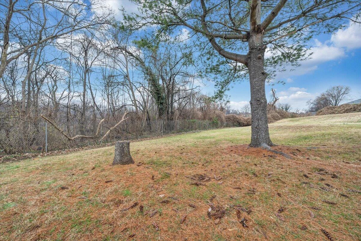 1208 Cleveland AVE SW - Photo 28