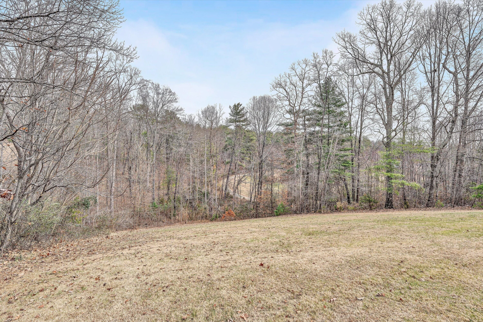 1180 Bonbrook Mill RD - Photo 39