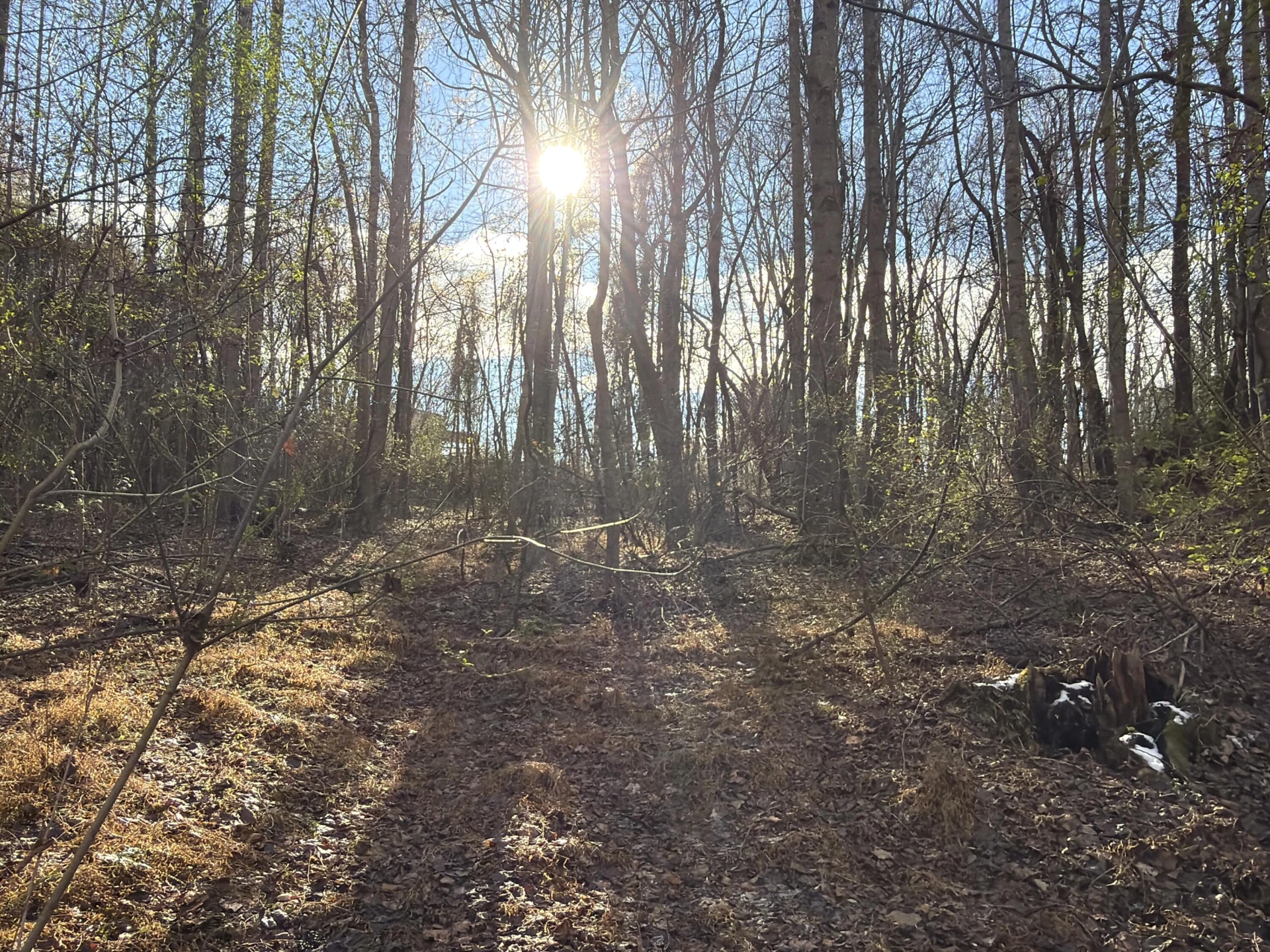3446 SPENCER PRESTON RD - Photo 2