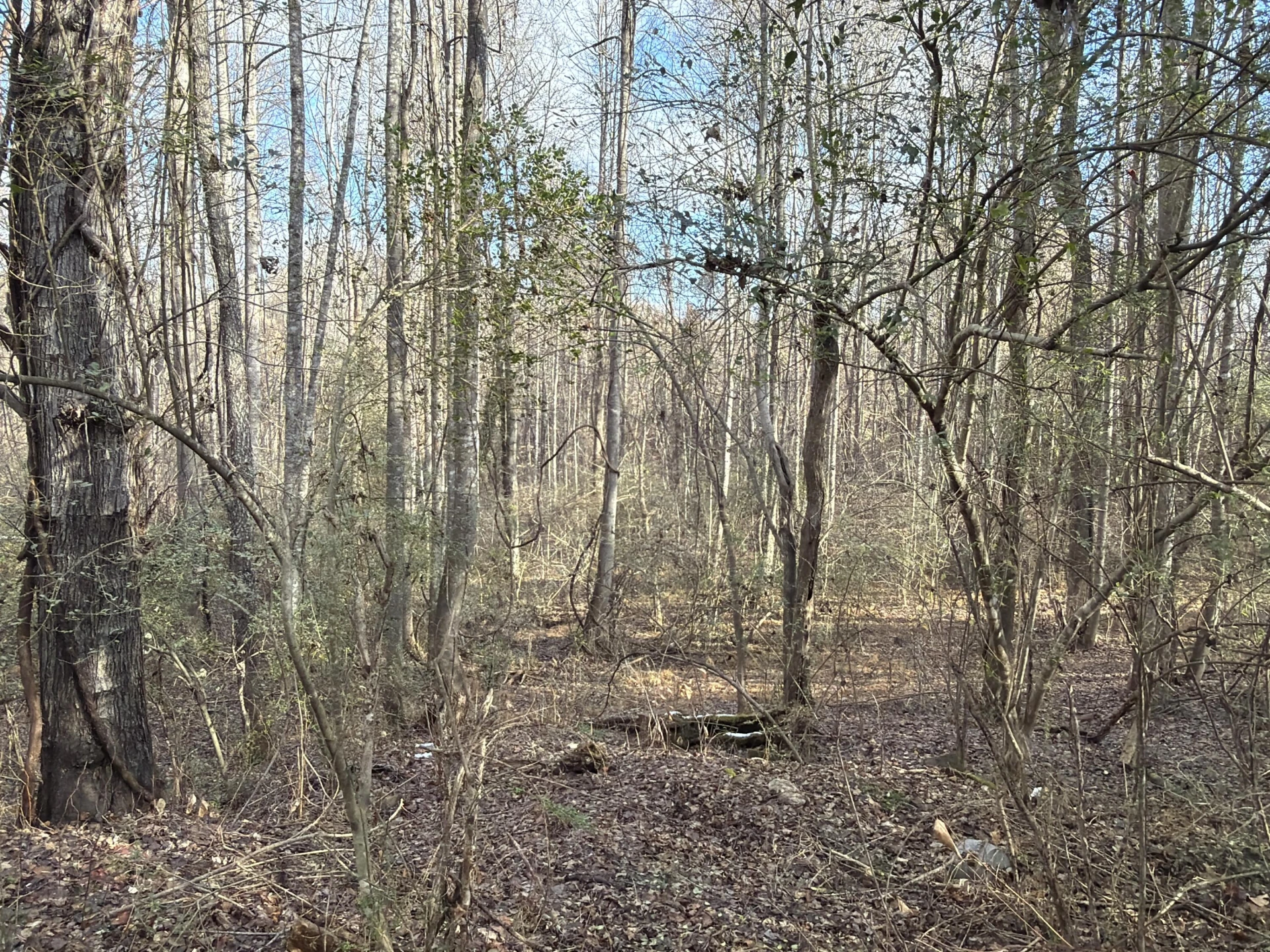 3446 SPENCER PRESTON RD - Photo 4