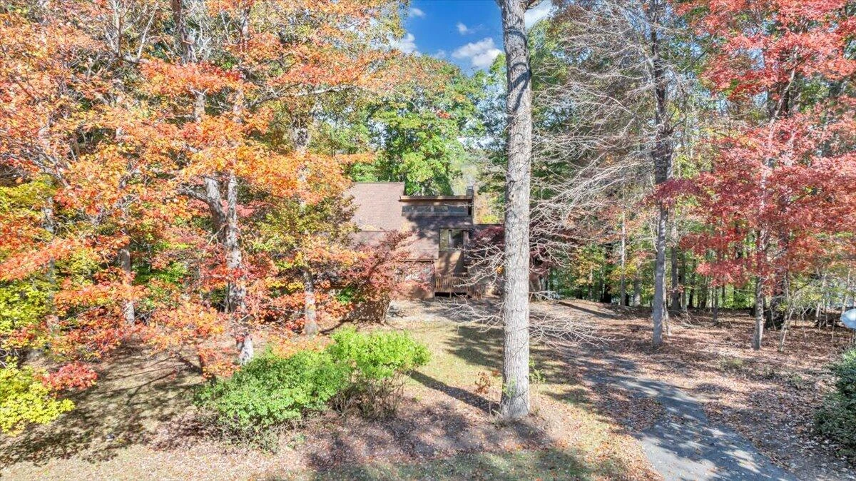 119 Cathedral Oaks LN - Photo 104