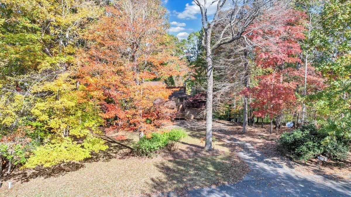 119 Cathedral Oaks LN - Photo 107