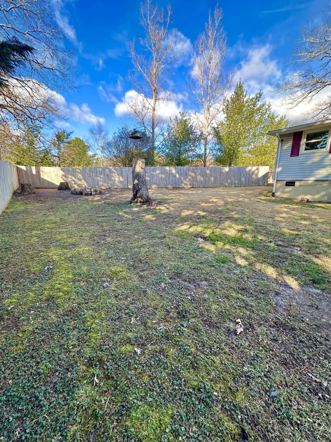 1511 Cedar ST - Photo 11