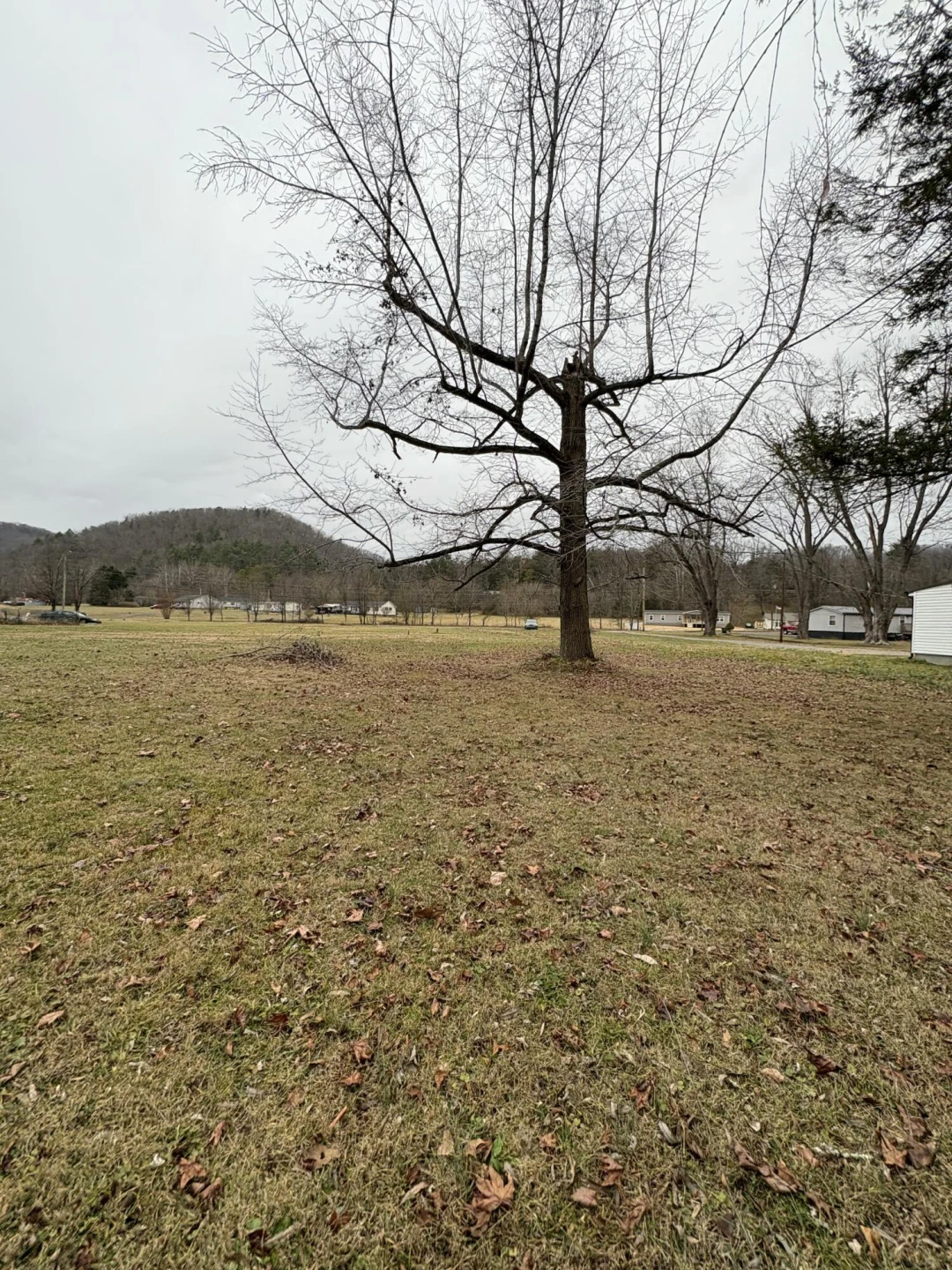 Lot 16 Flick DR - Photo 10