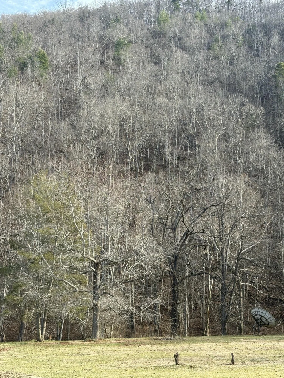 Lot 16 Flick DR - Photo 12