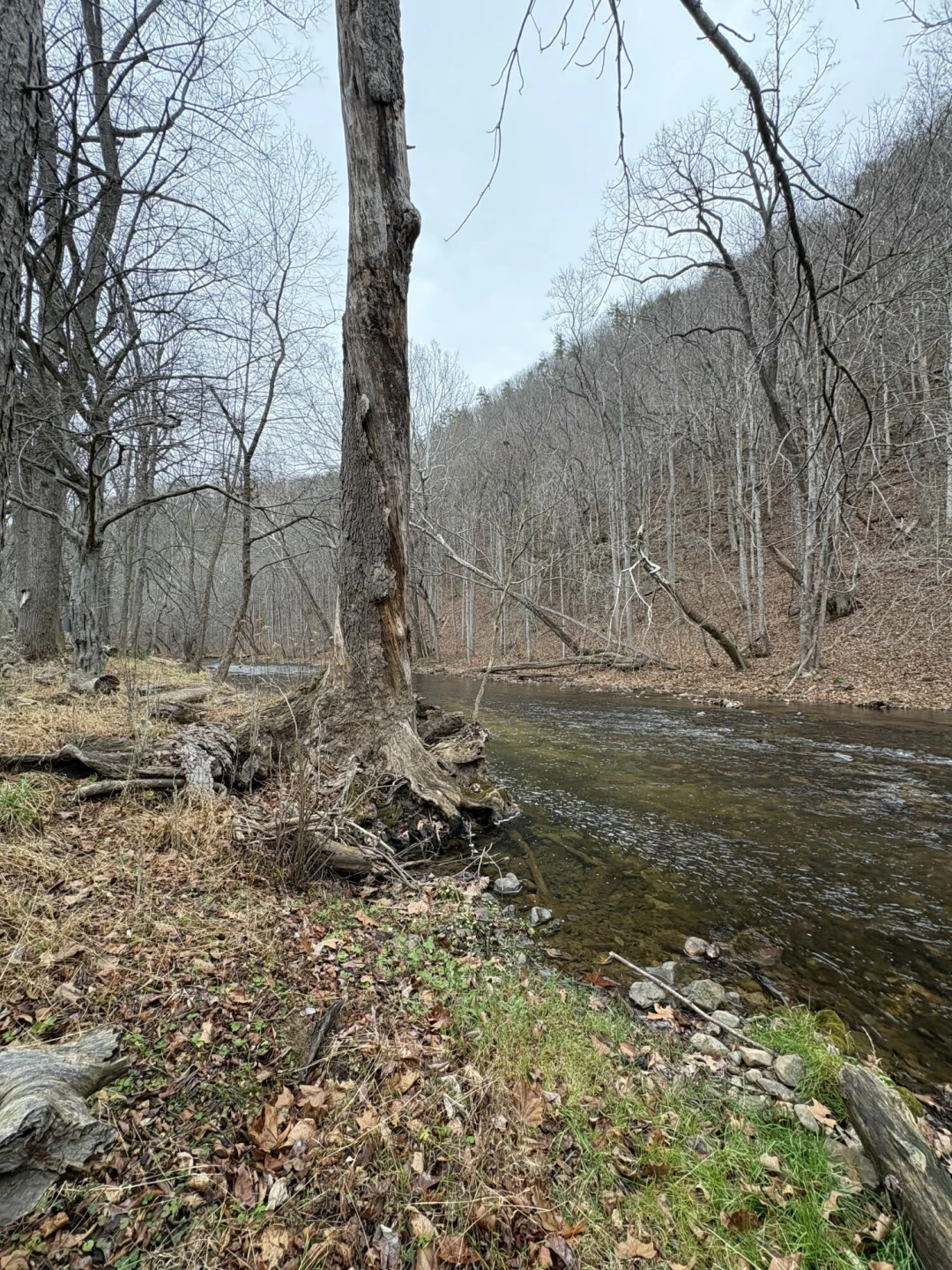 Lot 16 Flick DR - Photo 5
