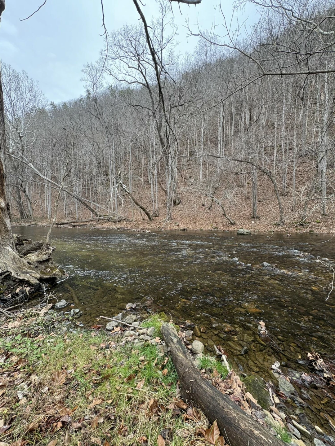 Lot 16 Flick DR - Photo 6