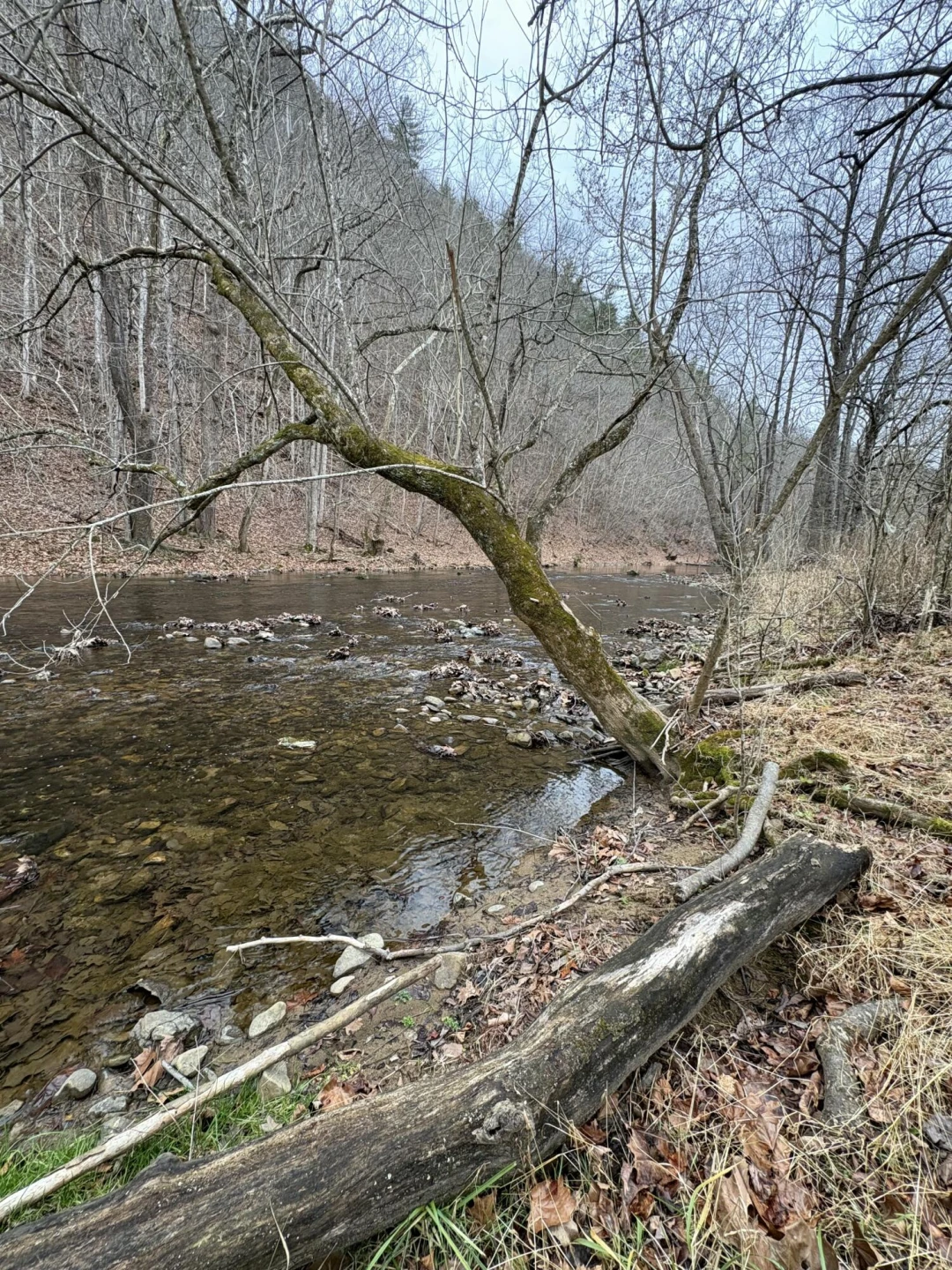 Lot 16 Flick DR - Photo 8