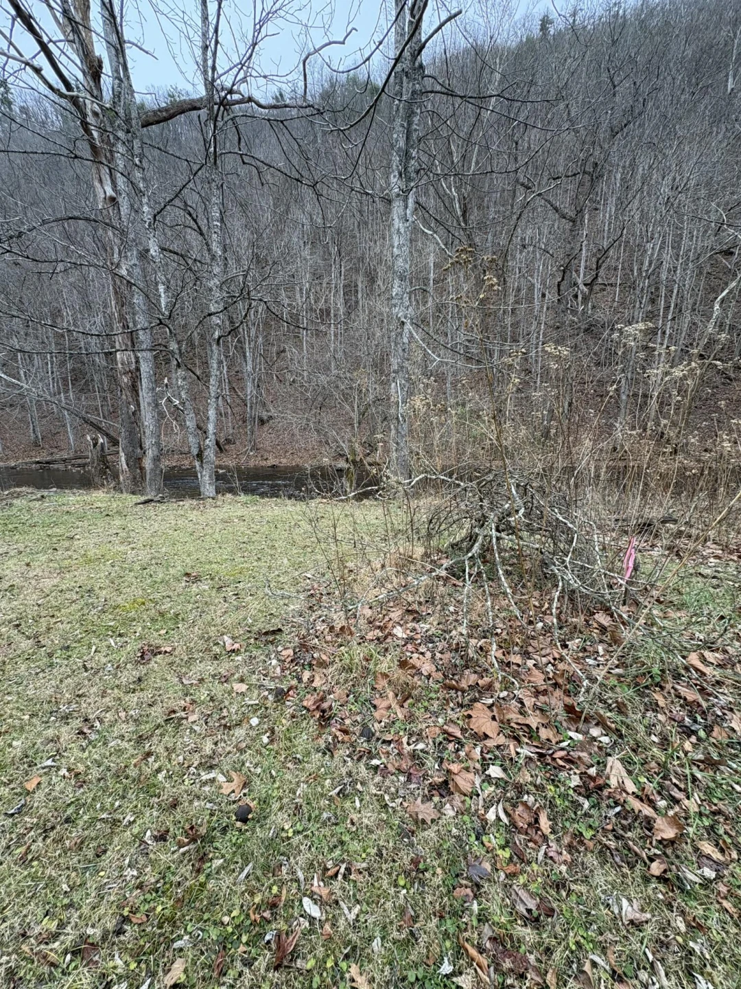 Lot 16 Flick DR - Photo 9