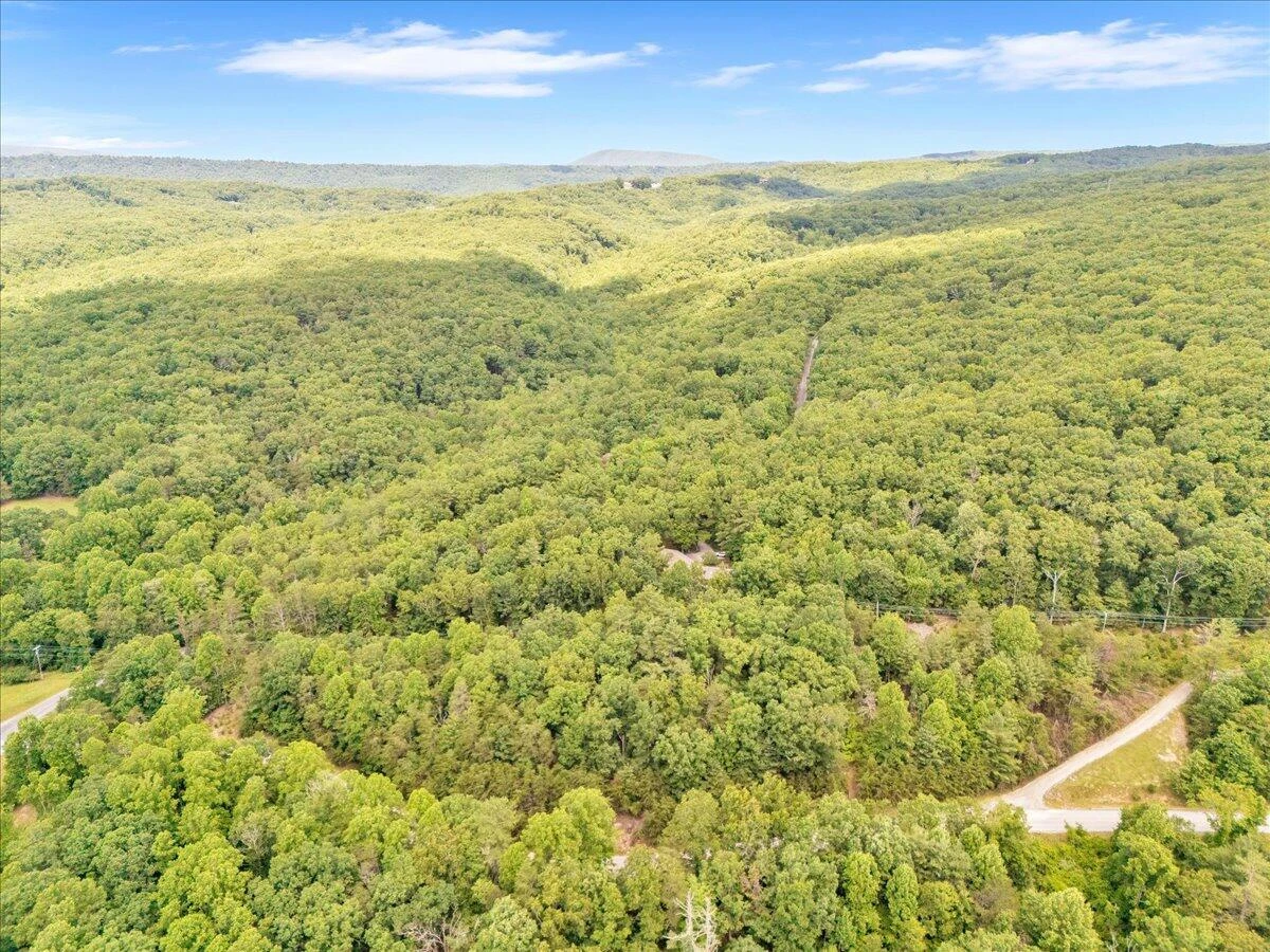 0 Coal Bank Hollow RD - Photo 10