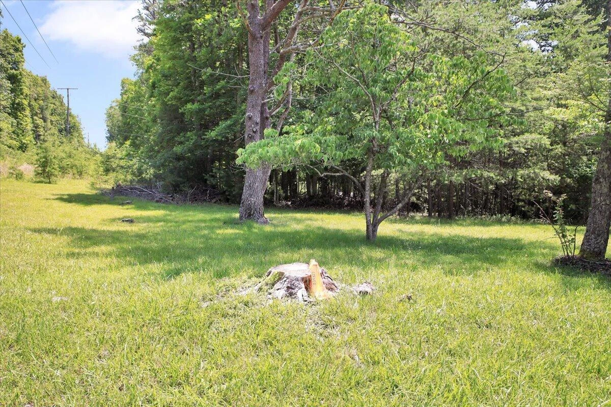 0 Coal Bank Hollow RD - Photo 4