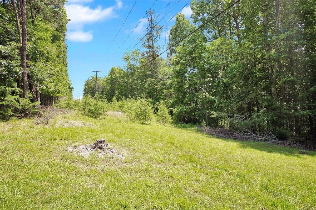 0 Coal Bank Hollow RD - Photo 6