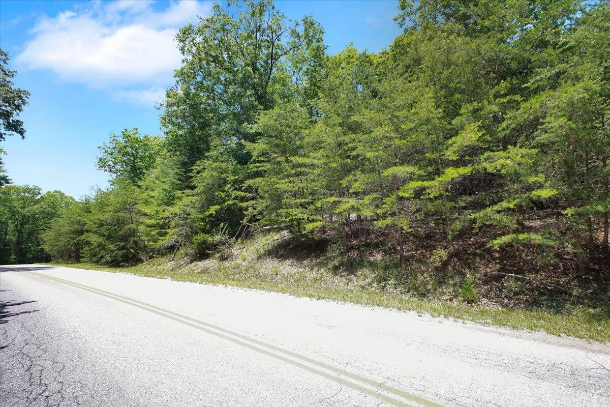 0 Coal Bank Hollow RD - Photo 7