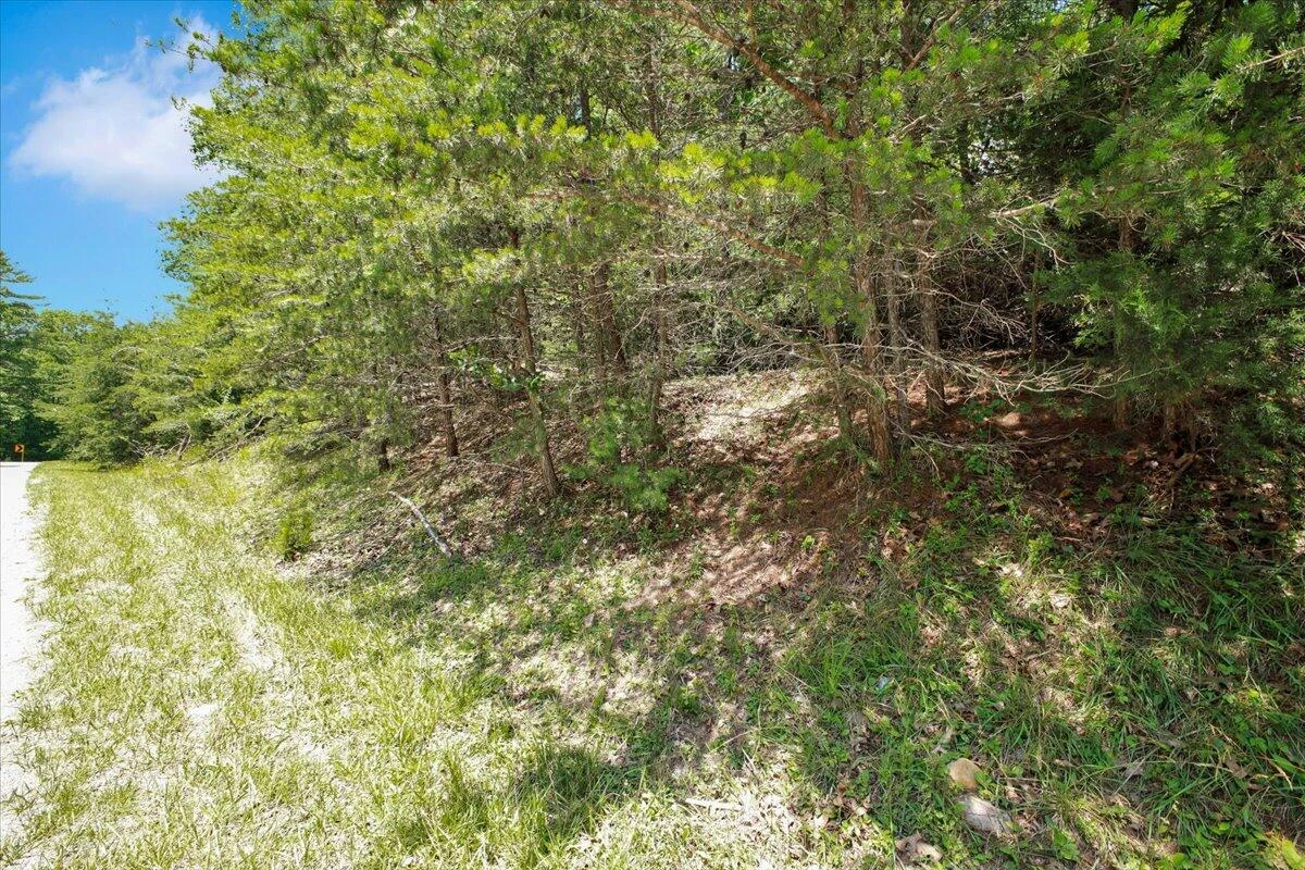 0 Coal Bank Hollow RD - Photo 8