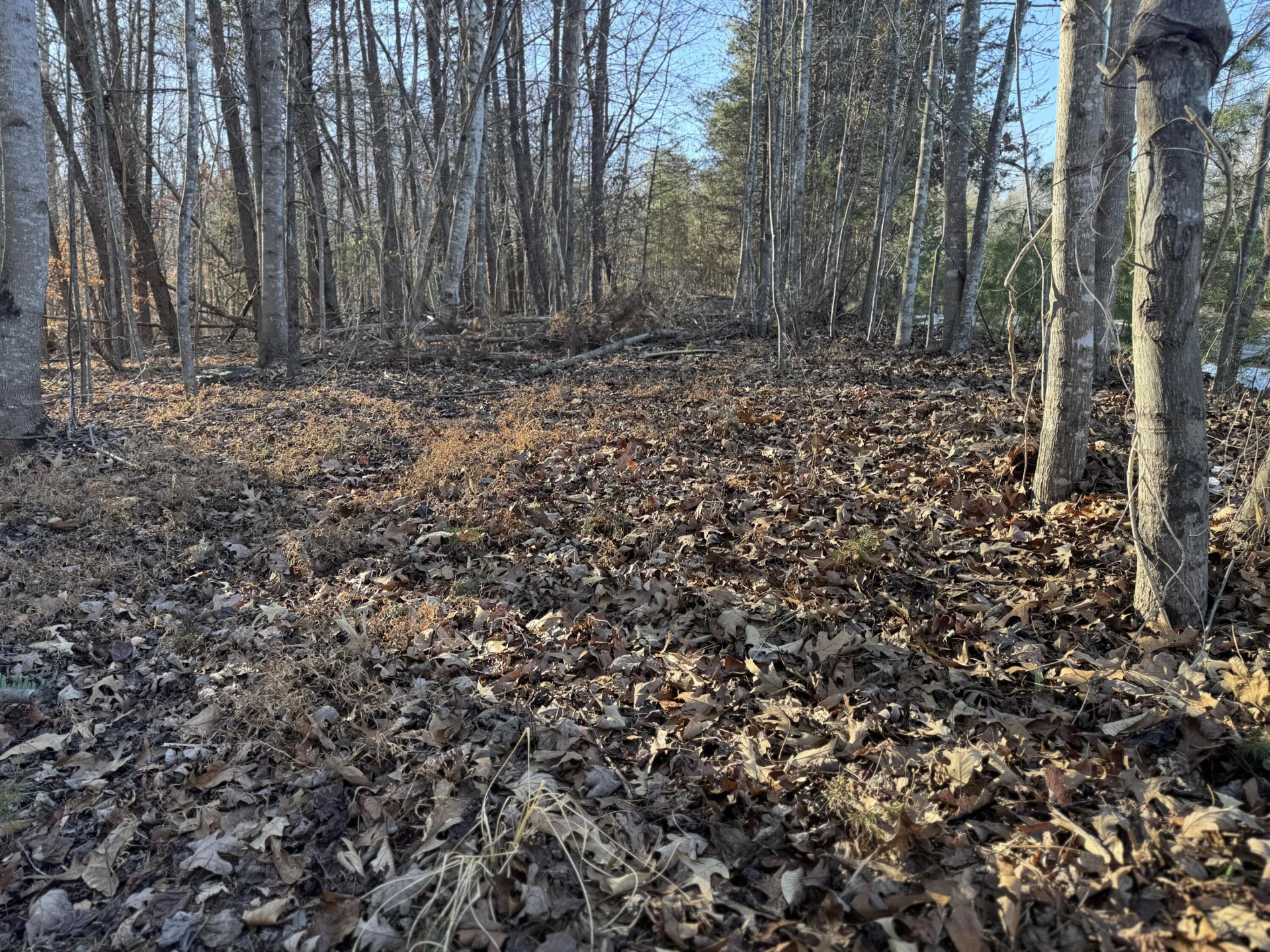 Lot 15 Admirals WAY - Photo 7