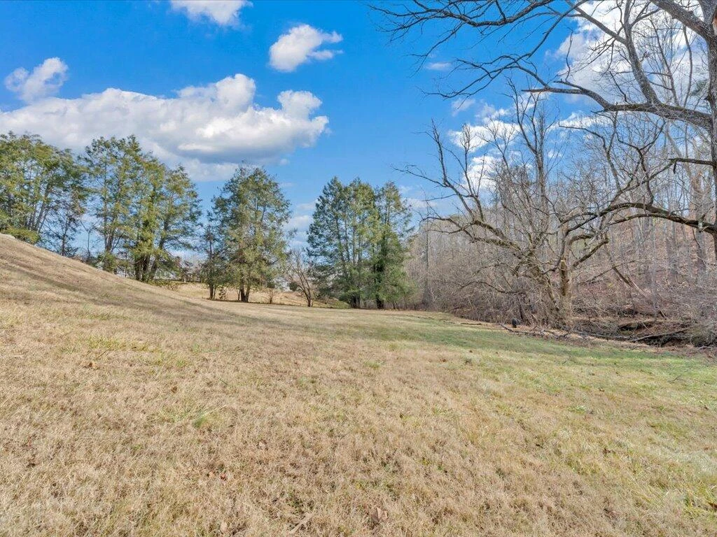 135 Old Furnace RD - Photo 51