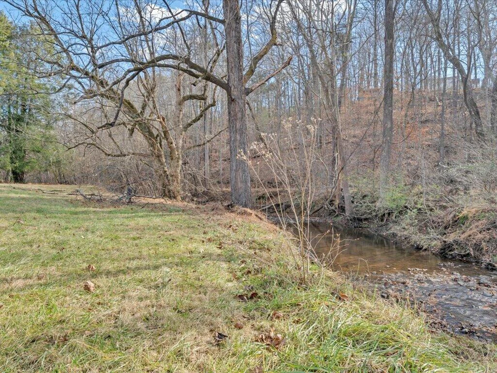 135 Old Furnace RD - Photo 53
