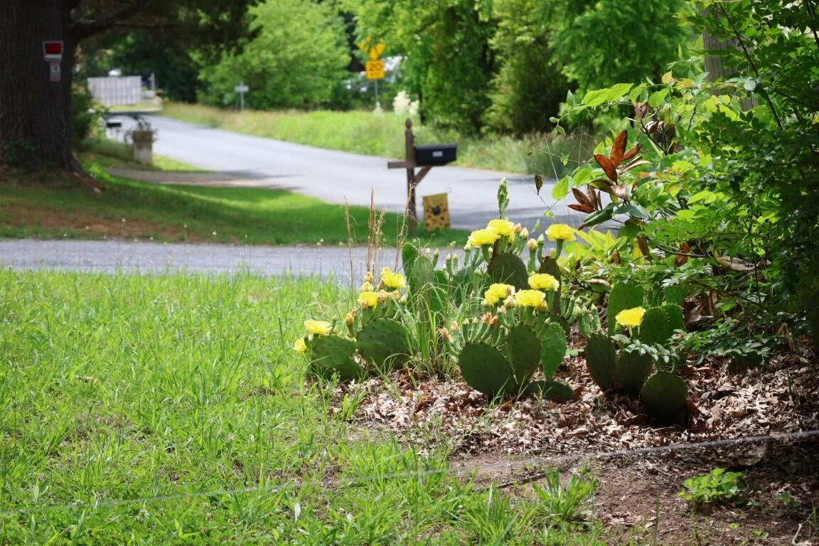 3741 Lowry RD - Photo 39