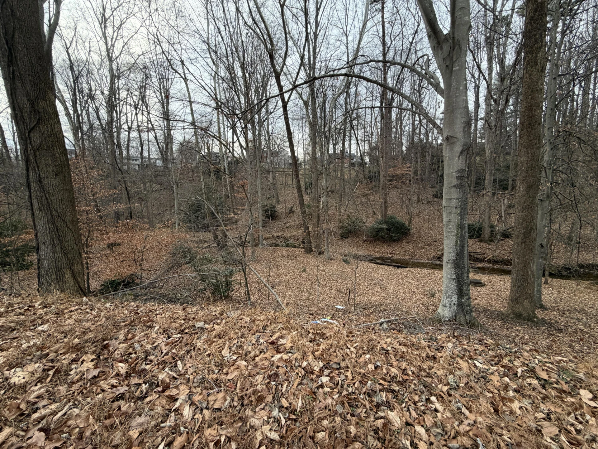 1014 INDIAN TRL - Photo 2