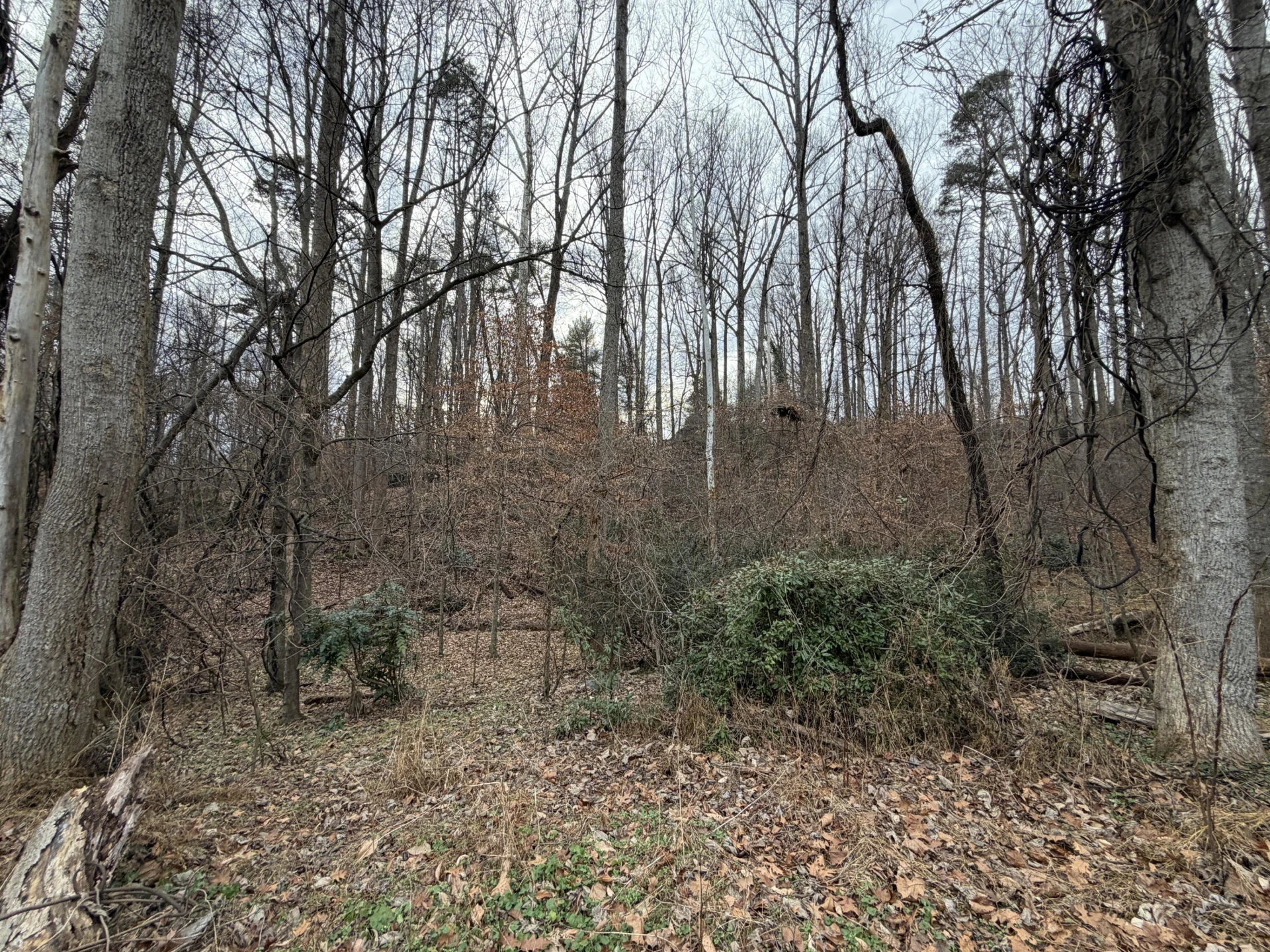 1008 INDIAN TRL - Photo 2