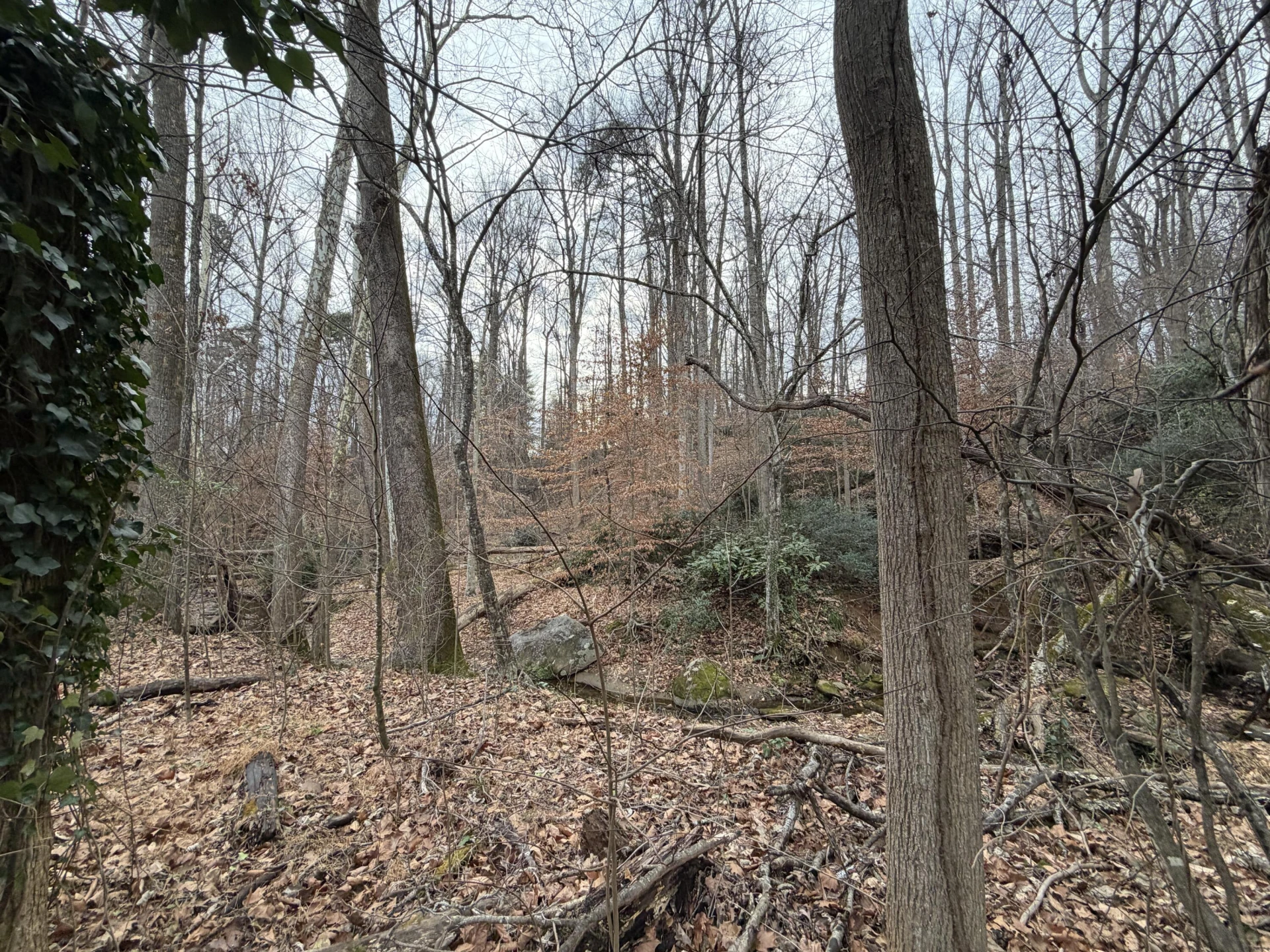 1004 INDIAN TRL - Photo 2