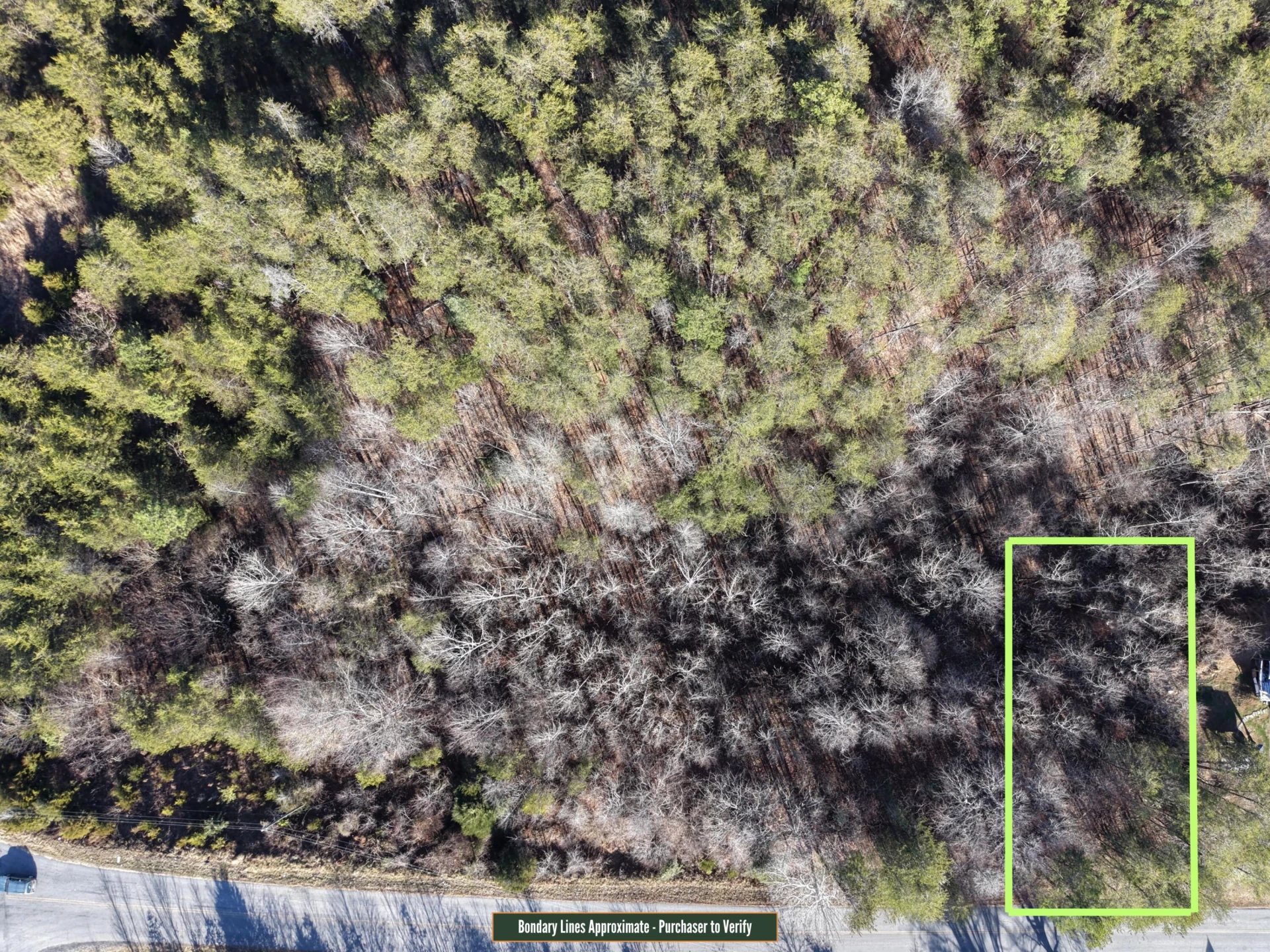 LOT 8 PINE VALLEY RD - Photo 3