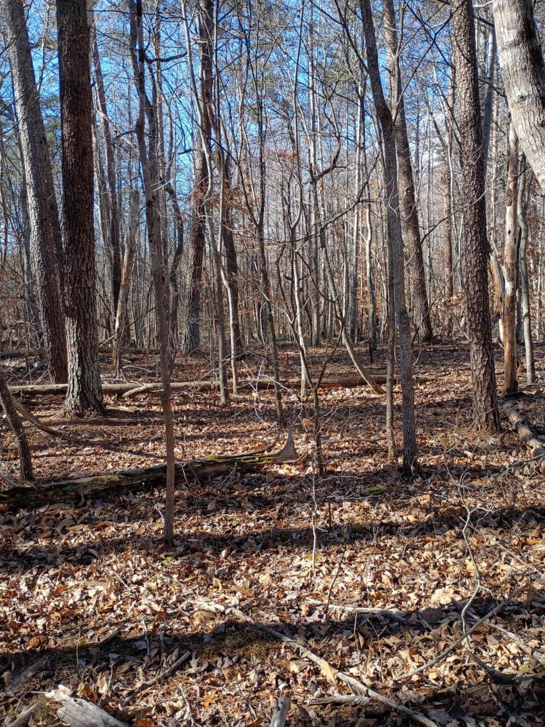 0 Lost Mountain RD - Photo 2