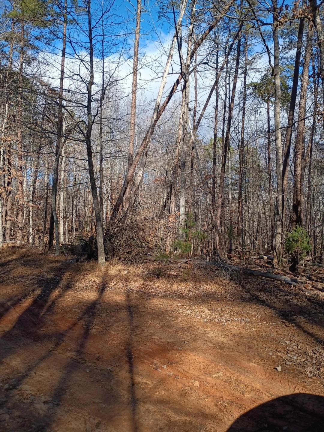 0 Lost Mountain RD - Photo 3