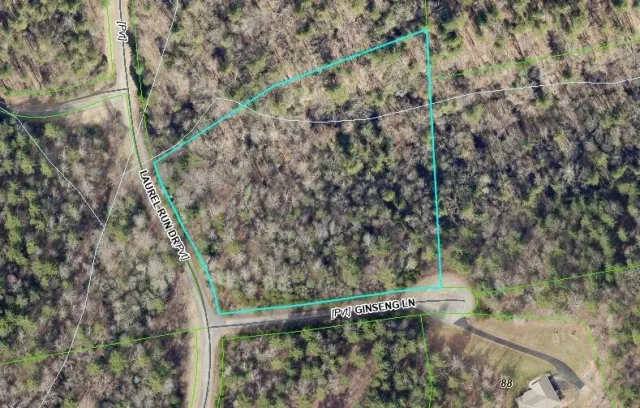 00 Ginseng LN, Callaway, VA, 24067