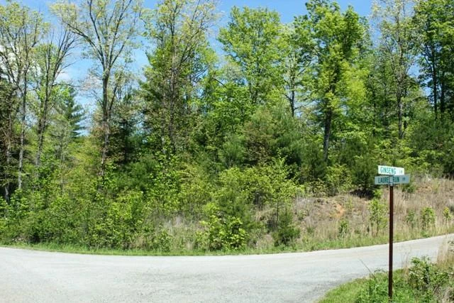 00 Ginseng LN - Photo 2
