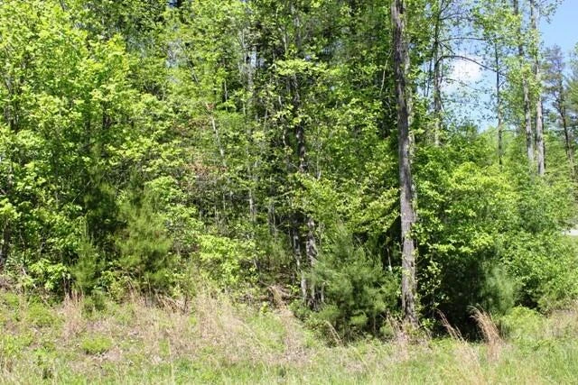 000 Mint LN - Photo 3