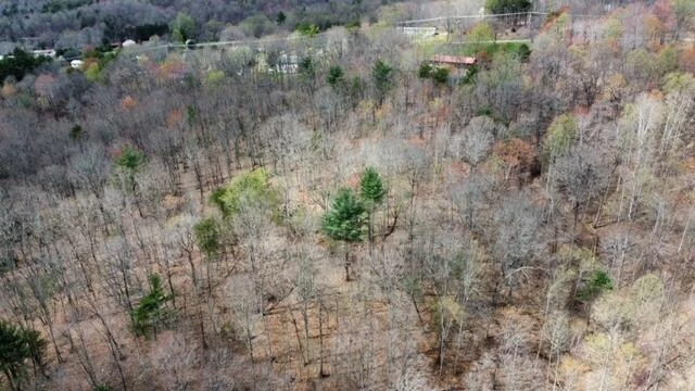 0000 ALTICE MILL RD - Photo 2