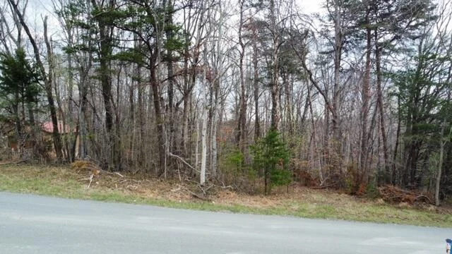 0000 ALTICE MILL RD - Photo 3