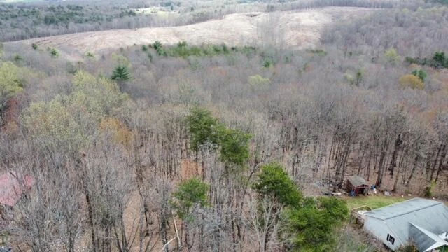 0000 ALTICE MILL RD - Photo 4
