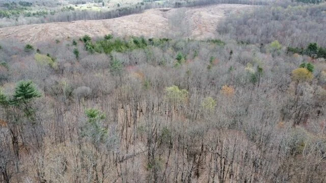 0000 ALTICE MILL RD - Photo 5