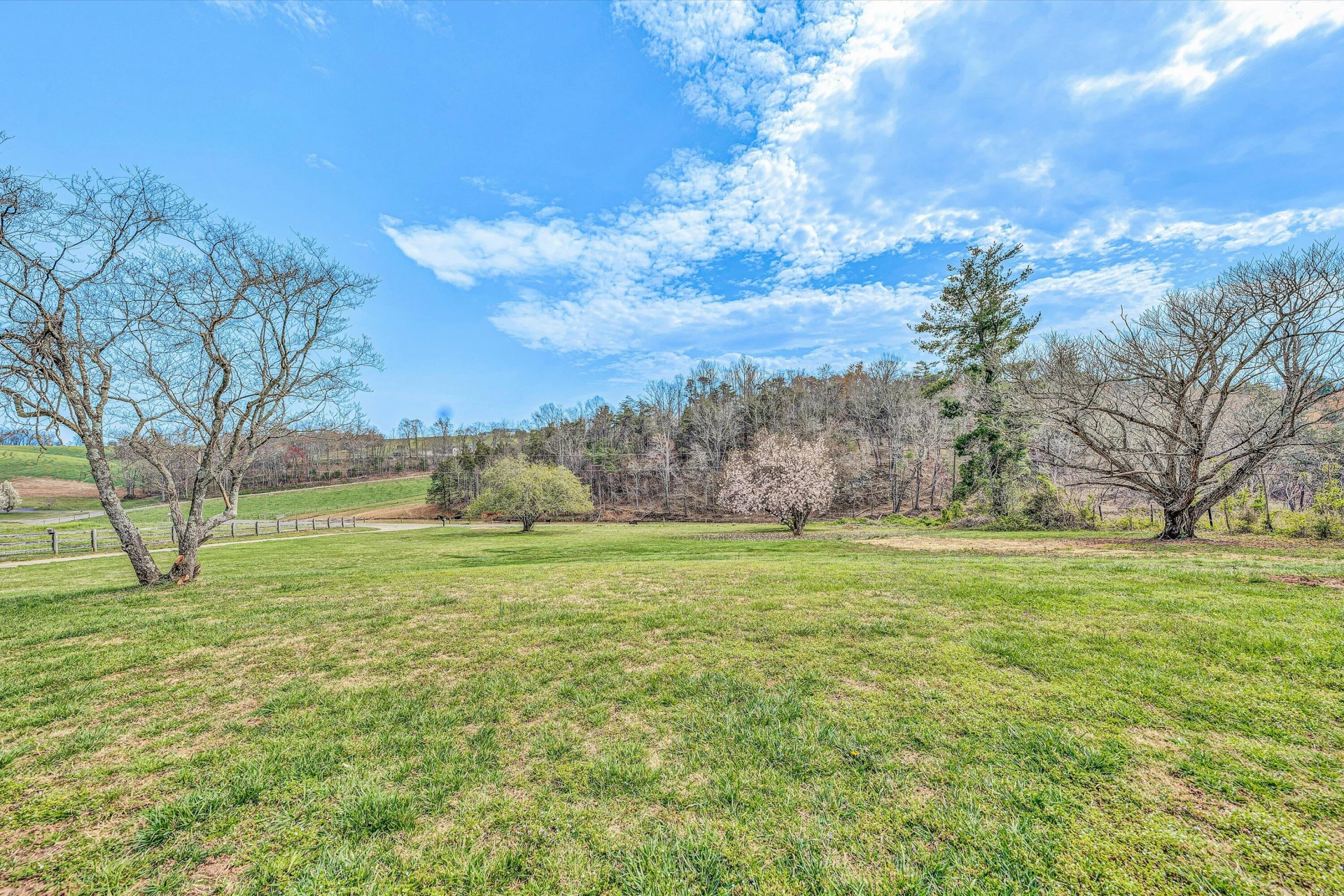 90 CAMPBELLWOOD RD - Photo 12