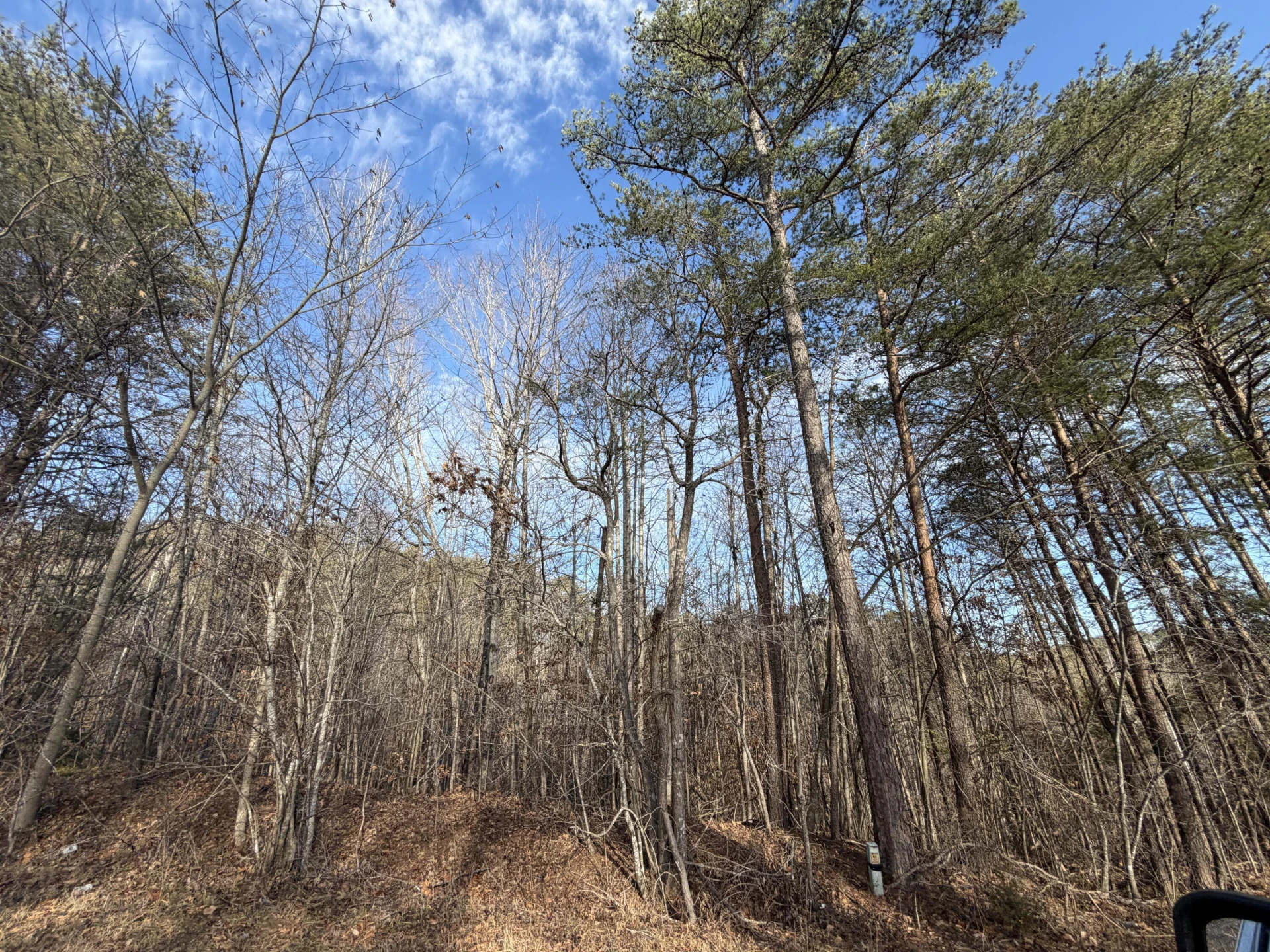 LOT 9A PINE VALLEY RD - Photo 2