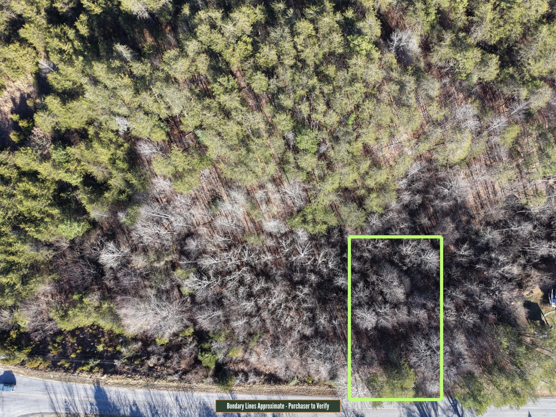 LOT 9A PINE VALLEY RD - Photo 3