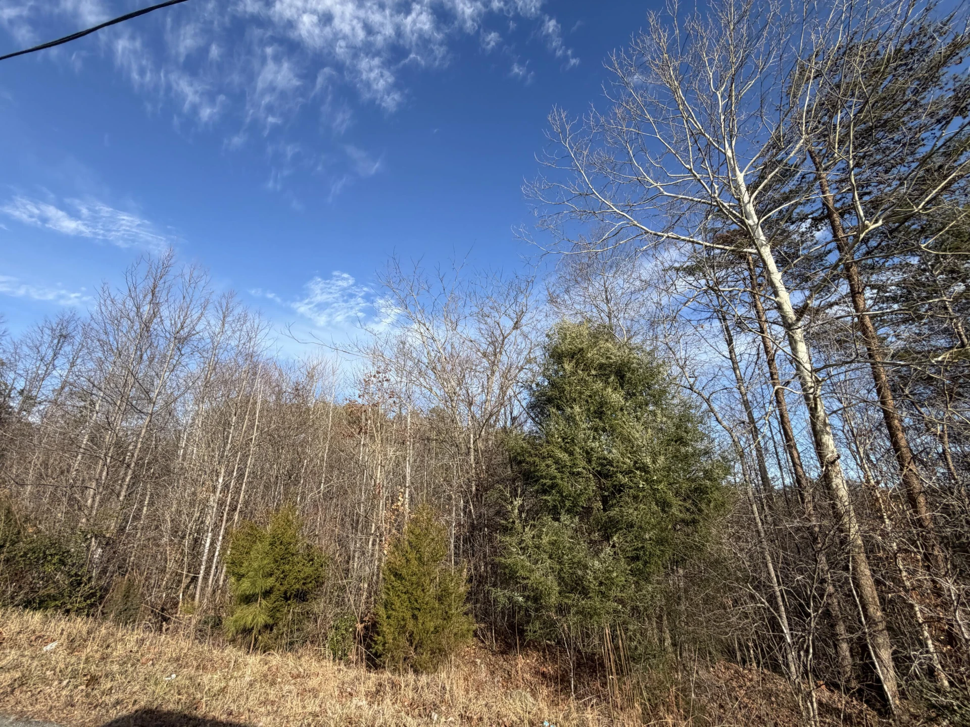 LOT 10A PINE VALLEY RD - Photo 2
