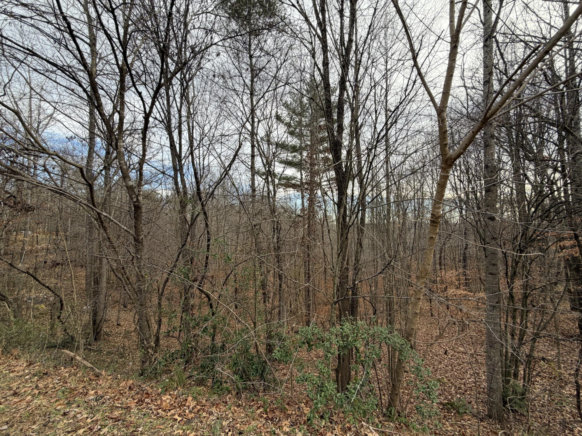 LOT 16 BASSETT HEIGHTS RD - Photo 2