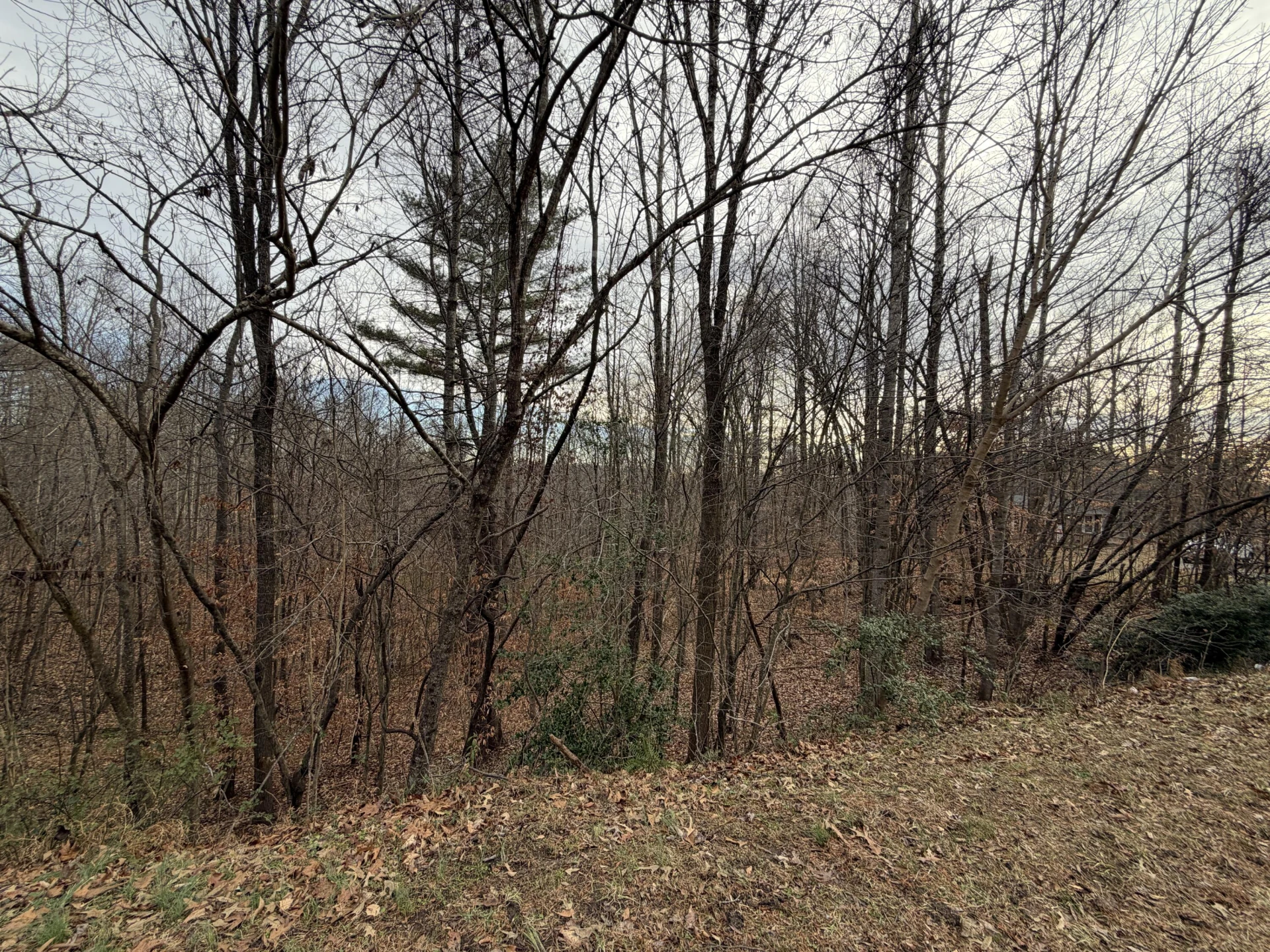 LOT 17 BASSETT HEIGHTS RD - Photo 2